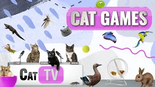 CAT Games | Ultimate Cat TV Compilation Vol 22 | 2 HOURS 🐝🐞🦋🦎🦜🐜🐭🧵