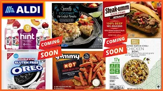 ❤️ALDI GROCERY SHOPPING HAUL‼️ ALDI AD REVIEW (12/28 - 01/03) SHOP WITH ME |🛒
