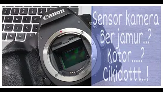 Cara membersihkan sensor kamera dslr