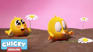 Where's Chicky? Funny Chicky 2021 | NEW 1 HOUR | FLOWER POWER  | Chicky Cartoon in English for Kids