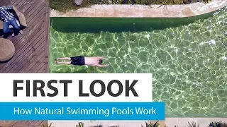How natural swimming pools work – CHOICE