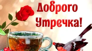 С добрым утром ! Счастливого Дня ! Красивая музыкальная открытка !🍀🍀🍀