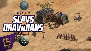 1v1 Arabia | Slavs vs Dravidians | vs Twigg