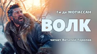 Ги де Мопассан. Волк.