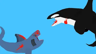 [Special] Aircraft Orca Vs Aircraft Shark/GreatDed Animation/Thank For 40 Subscribe❤