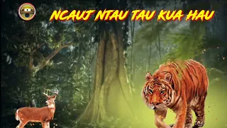 Ncauj ntau tau kua hau 14/3/2023