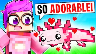 We Adopt A PET AXOLOTL In MINECRAFT! (LANKYBOX AXOLOTL!)