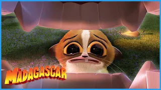 Mort's Madness | DreamWorks Madagascar