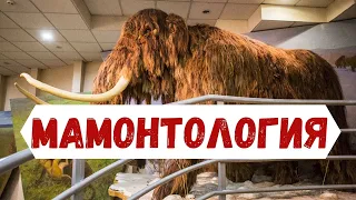 Как изучают мамонтов в Якутии