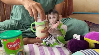 Adorable Baby Boy Tobai Sit Waiting Mom Mix Milk