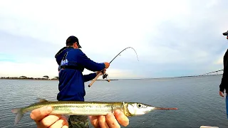 IT’S GARFISH TIME! A VERY BIG BITE!