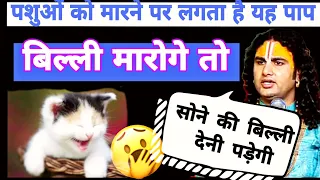 बिल्ली🐱 को मारने पर लगता है यह पाप🤔 || अनिरुद्ध आचार्य महाराज जी🥰 || #aniruddh #viralvideo #viral