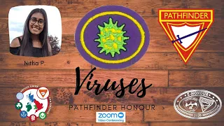 Viruses Pathfinder Honour e Honour