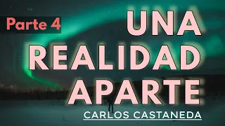 UNA REALIDAD APARTE | C. Castaneda | Parte 4 | Audiolibro completo | Español | Voz humana