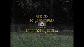 ATN Series 5 Rabbit shooting compilation