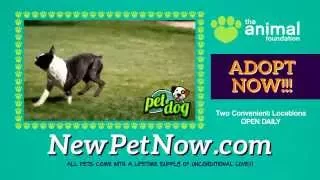 Pet Dog In-FUR-mercial - Full Version (The Animal Foundation)