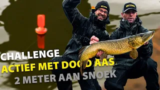 SPRO - Two Meter Pike Challenge - Active Dead Bait Fishing