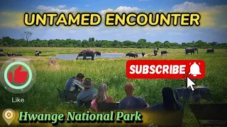 UNTAMED ENCOUNTER!!!