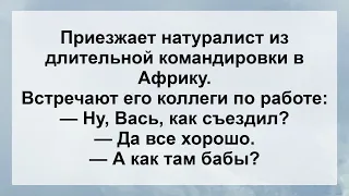 Вернулся Мужик из Командировки! Анекдоты смешные до слёз! Сборник Веселых Жизненных Анекдотов!