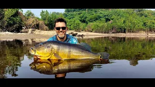 Peacock-Bass du rio juma au brazil 2023
