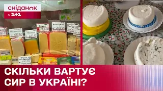 Ціни на різні види сиру в містах України – Огляд цін