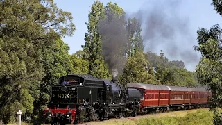 Garratt AD60 6029 at Thirlmere Festival of Steam - 5th March 2016, with 3016, 3265, 3642