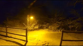 Outdoor High Pressure Sodium Lighting in the Snow 2/27/2023 | Color Edited