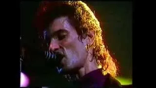 Mink deVille Steady Drivin Man-Rockpalast 1981