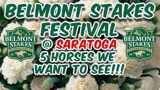 Belmont Stakes Festival - 5 Festival Horses We Can't Wait To See!