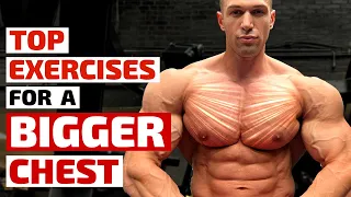 Top Trainers Agree, These Are the Best Exercises for Building a Bigger Chest