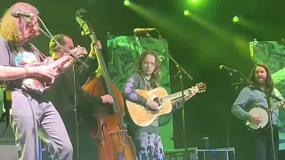 Billy Strings “Down Yonder” (L. Wolfe Gilbert) Live in NOLA on December 30, 2022