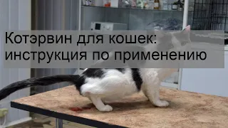 Котэрвин для кошек: инструкция по применению