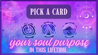 What is your Soul Purpose in this Lifetime? 🤔🌟🧬 Pick a Card ✨ Timeless Tarot Reading 🌠