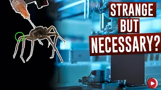 NECROBOTICS: A group of scientists turned a SPIDER into a ROBOT!