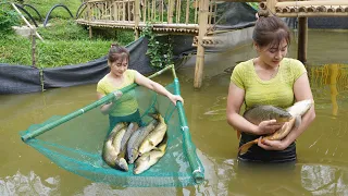 Harvesting Fishing At Fish Pond Go To Sell At Village Market - Cook delicious fish hotpot