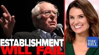 Krystal Ball: Why establishment scramble to stop Bernie will fail