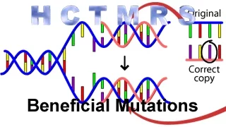 How Creationism Taught Me Real Science 54 Beneficial Mutations