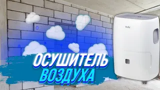 Осушитель воздуха Ballu BD60U - боремся с влажностью в курятнике!