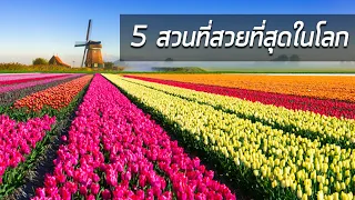 5 สวนที่สวยที่สุดในโลก (มีสวนของไทยติดอันดับด้วยนะ!)