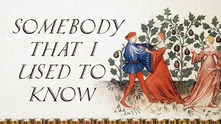 Somebody That I Used To Know (Bardcore | Medieval Style Cover with Vocals)