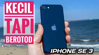 Review Iphone Se 3 di tahun 2023 si imut bionic a15 tapi mahal !!! #gadgets #iphone