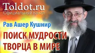 Рав Ашер Кушнир. Обязанность искать мудрость Творца. Обязанности сердец 18