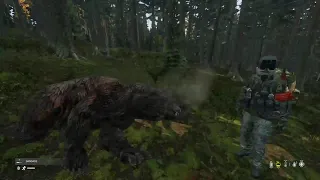 Bears and Wolves in DayZ - DJ Armok (Devilish Trio)