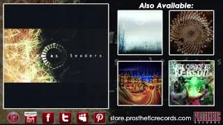 Animals As Leaders - (Track Twelve - Song Of Solomon)