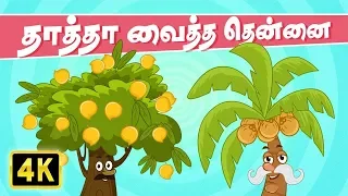 தாத்தா வைத்த தென்னை (Thatha Vaitha Thennai) | Chellame Chellam | Tamil Rhymes