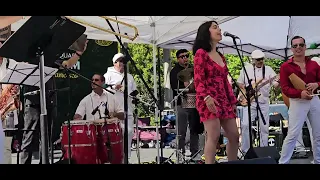 11. Quimbara  covered by  Los Kimberos - Mother's Day Celebration @ Union Square 5-12-2024
