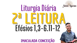 2ª Leitura de hoje (08/12/2022)|Liturgia Diária|Solenidade, Imaculada Conceição| Efésios 1,3-6.11-12