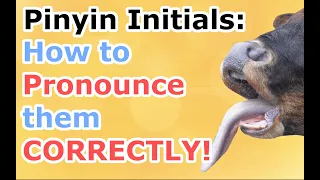 1 Learn Chinese Pinyin Pronunciation - The Most Detailed Chinese Pinyin Explanation— Pinyin Initials