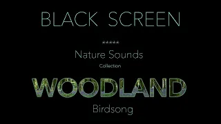 Forest Birds Chirping/Singing Nature Sounds Black Screen-Dark Screen-Johnnie Lawson Sleeping Sound