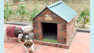 DIY Dog House from Bricks and Cement for our new Puppy